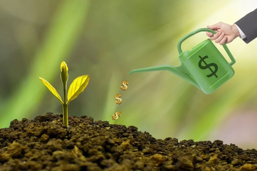 Como investir dinheiro, em que investir e quando investir