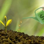 Como investir dinheiro, em que investir e quando investir