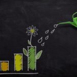 Como Construir um Patrimônio Sólido a Longo Prazo